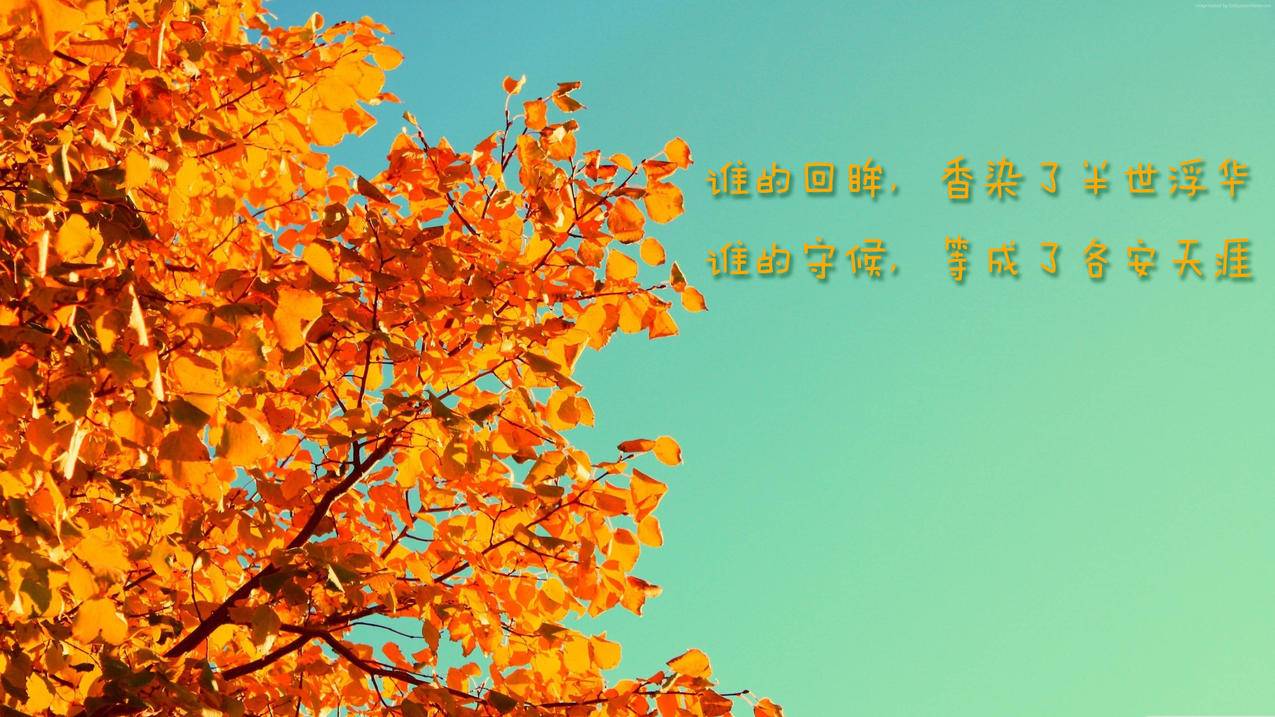 客服主管王小华